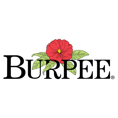 burpee logo for site
