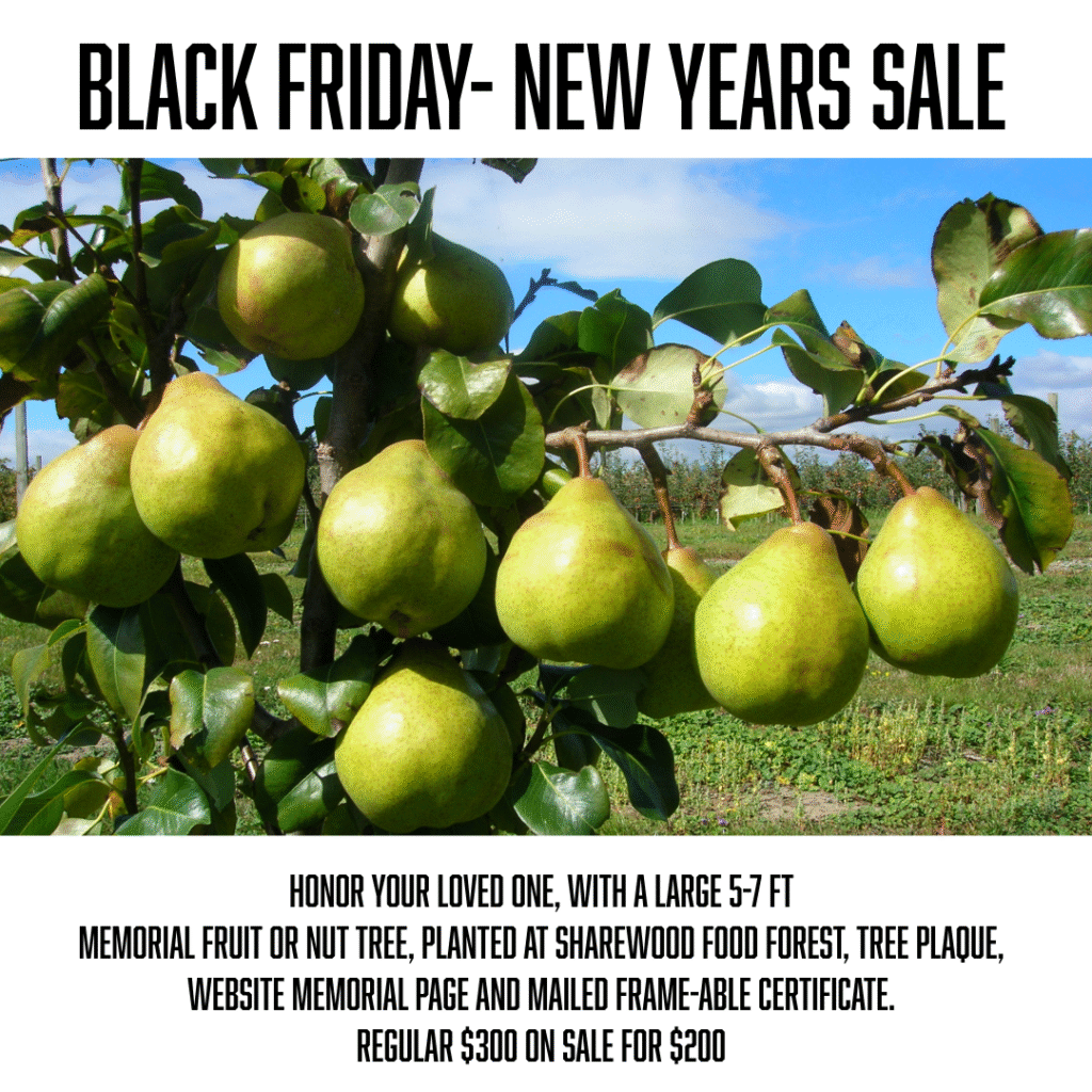 black friday memorial sale post