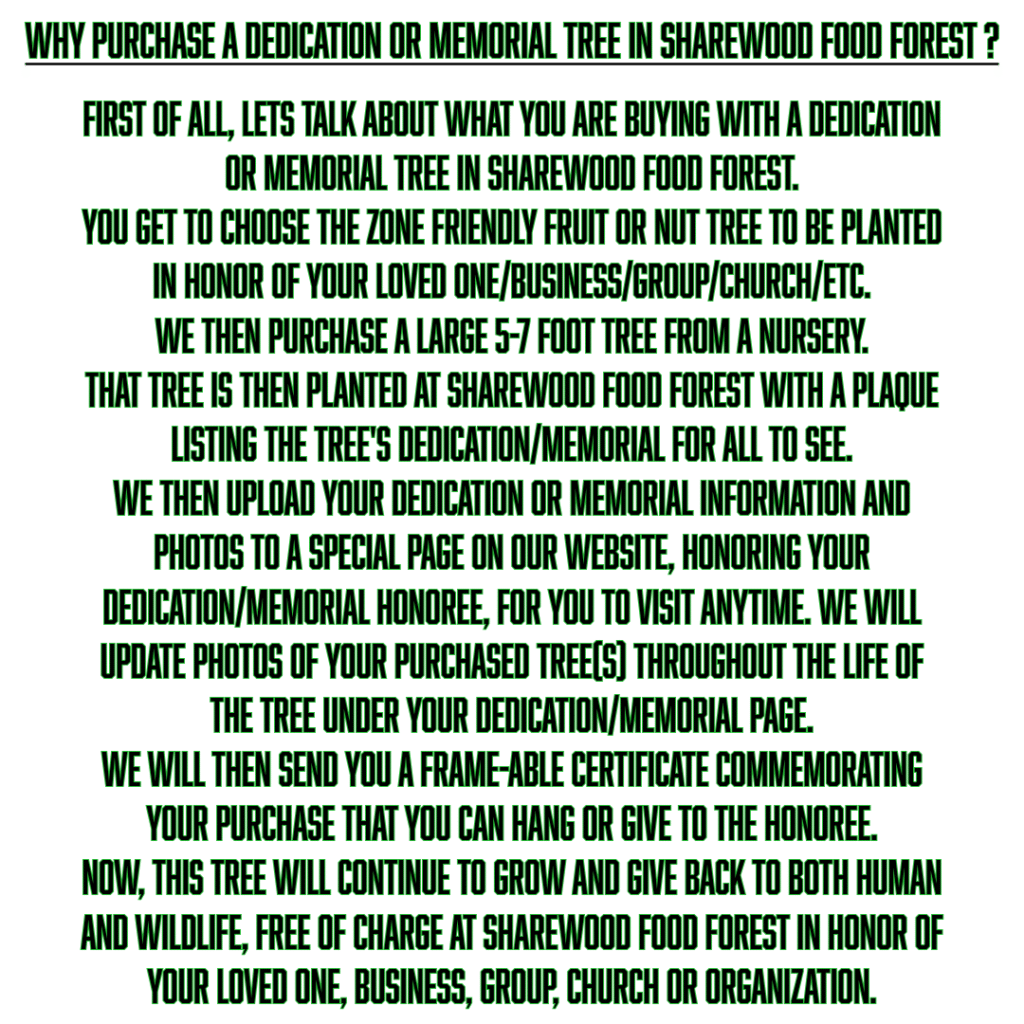 dedication-memorial explanation