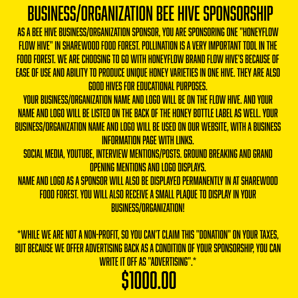 business bee hive 1000