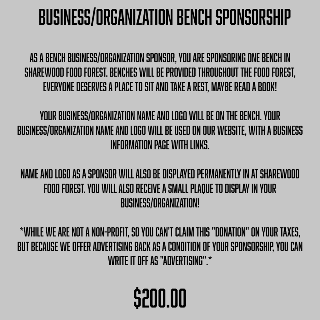 business bench 200