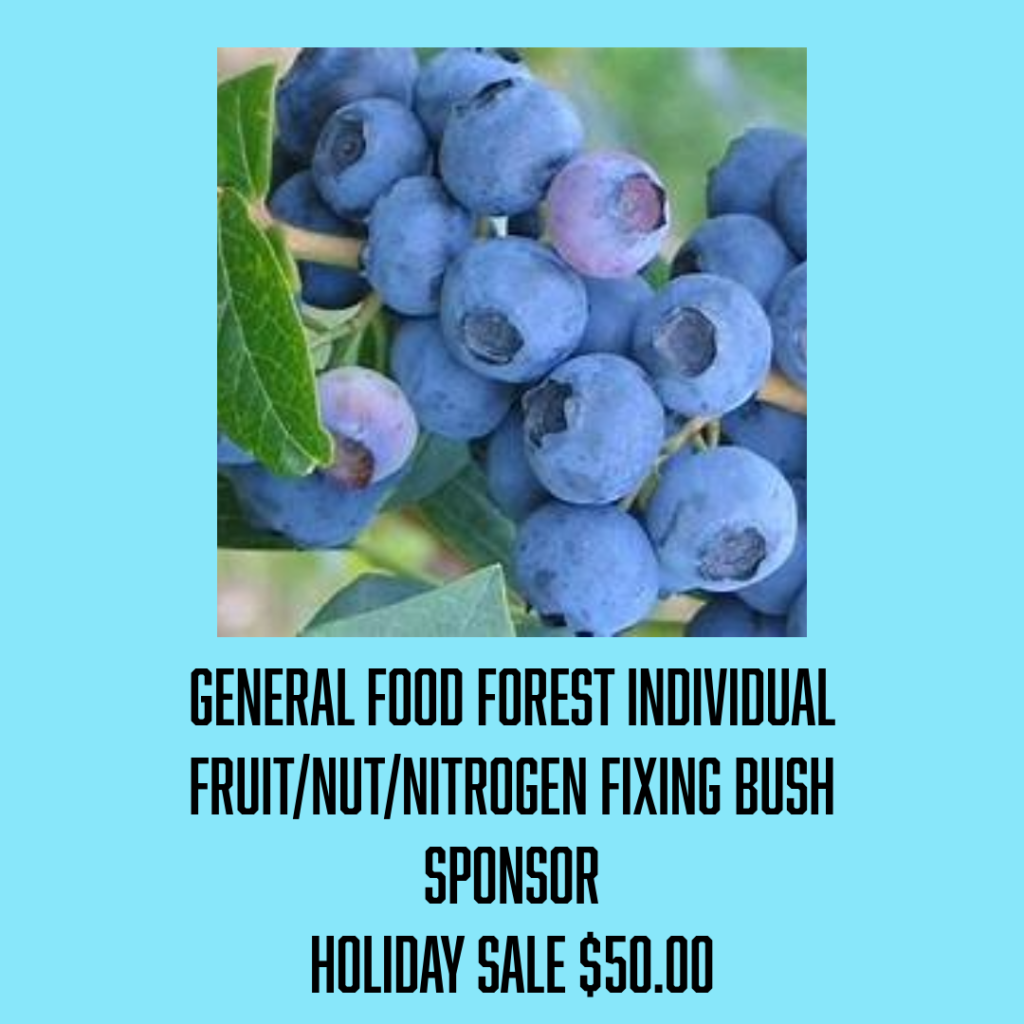 general bush sponsor sale 50