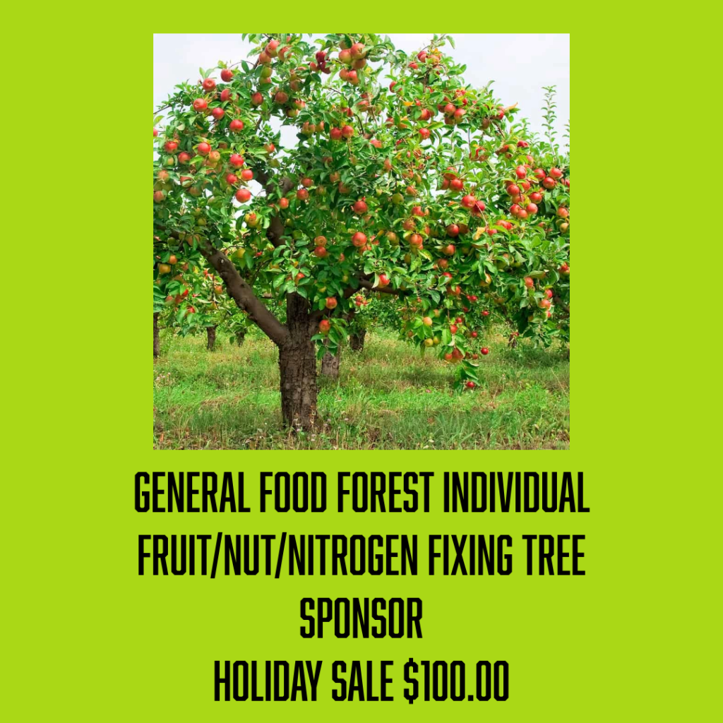general tree sponsor sale 100